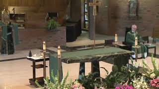 Sixteenth Sunday in Ordinary Time - Saturday 5pm