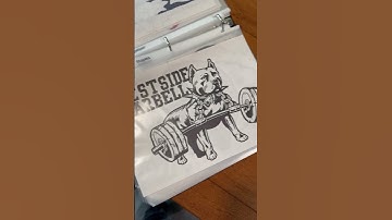 Practice Flash/Sketches