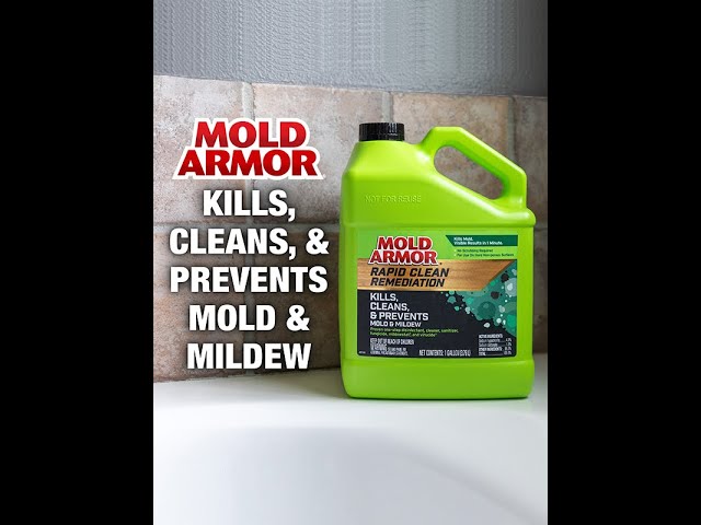 Mold Armor Mold Remover and Disinfectant - 1 gal jug