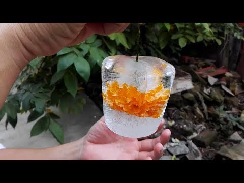 How To Make a Frozen Flower