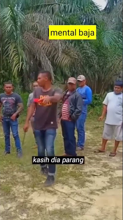 Preman viral di kebun kelapa sawit