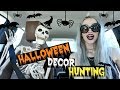 Halloween Decor Hunting!!!