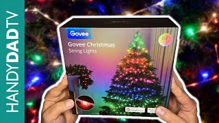 Govee Christmas String Lights