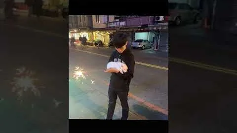 تحميل 小林花
