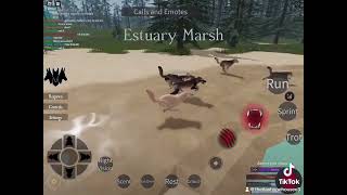 Funny moment with the Caligo wolf pack! | Cenozoic survival