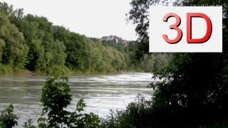 3D Video: River & Forest Relaxation #2