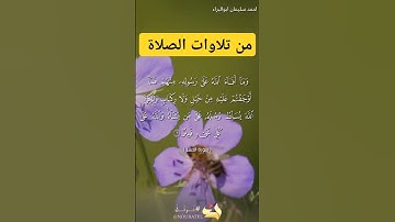 ولكن الله يسلط رسله على من يشاء #احمد_سليمان_ابوالبراء #اكسبلور #راحة_نفسية #تلاوة #دويتو #explore