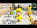 360° VR Banana Cat movie Collection