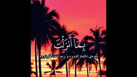 سورة ال عمران  سعد الغامدي
