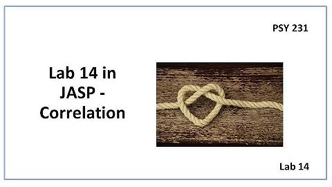 PSY 230 Lab 14: Video Correlation