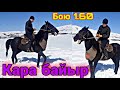 Жакшы ат сатууга чыкты 🐎