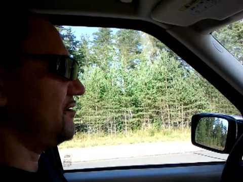 О музыкальных вкусах