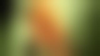 Coat button splints for hematoma pinna by Dr. Arfat Jawaid