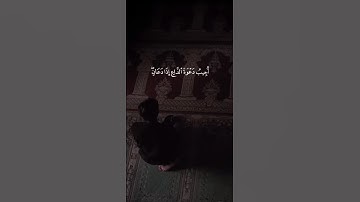 اكتب شيء تؤجر عليه 😴🩶| قران كريم | فارس عباد