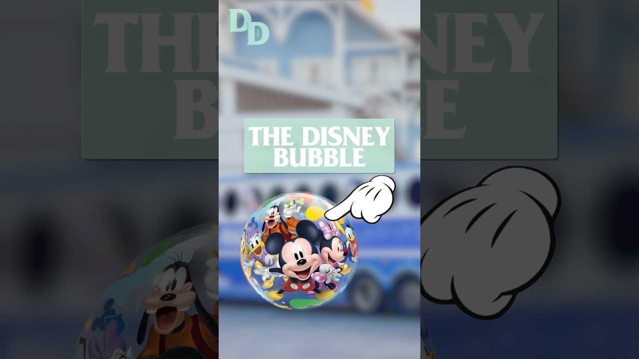 What is “The Disney Bubble?” 