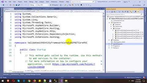 Model Validation with MetaData in ASP.NET Core MVC