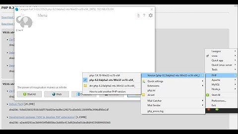 Add PHP 8 to Laragon - Windows
