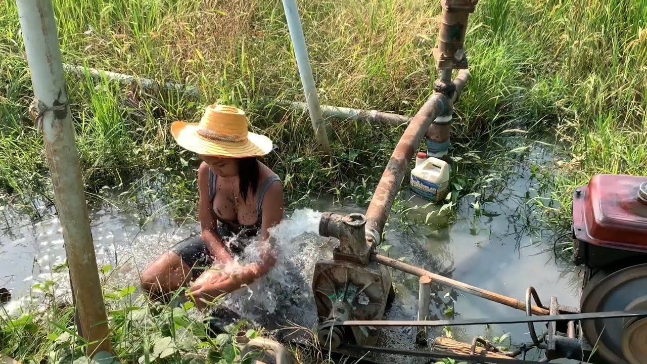 설 특집 태국 귀농 모아보기.