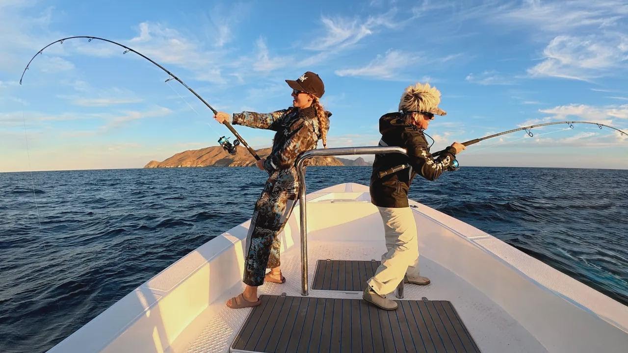 Aventura sem pausa: pescando yellowtail, caçando polvo e mergulhando com jubartes!