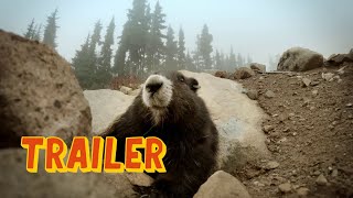 Island of the Sea Wolves - Official Trailer (2022)