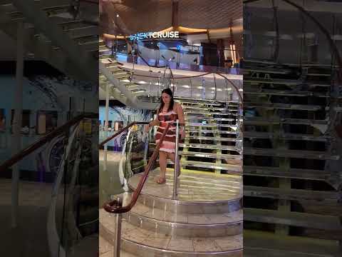 Video: Přehled výletní lodi Oasis of the Seas