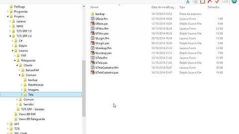 T2Ti ERP 2 0   Lazarus   Infra   02 Pastas