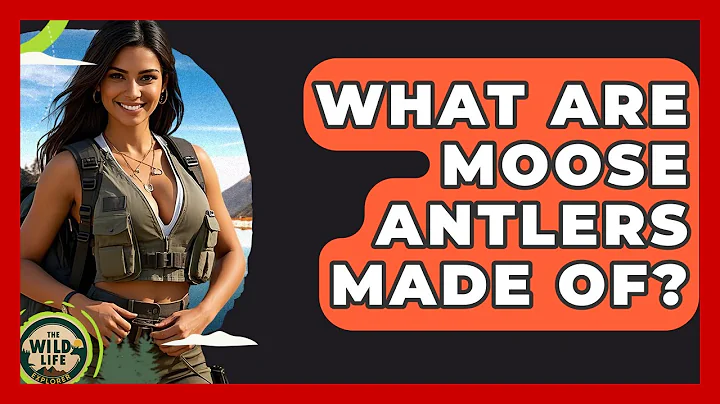 What Are Moose Antlers Made Of? - The Wild Life Explorer