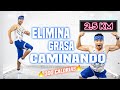 CAMINA en Casa 2.5 KM para PERDER PESO Fácil 🚶🔥 QUEMA Grasa del Abdomen Bajo  Power Fitness