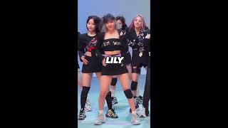 kpop idols who fit the western standards more than the korean beauty standards Net Worth