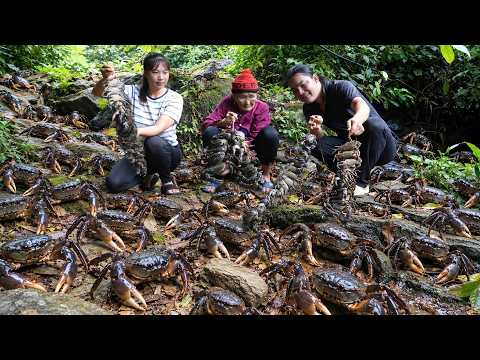 Catching Crabs in the Forest to Cook Nutritious Porridge for My Mother, Farm Life. SURVIVAL ALONE
