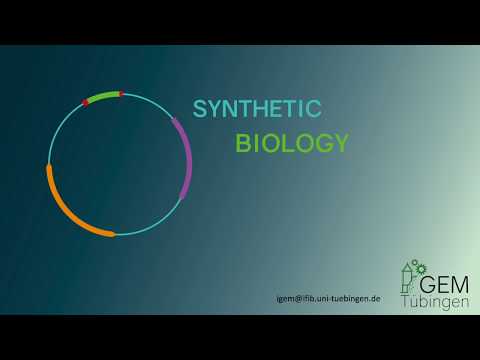 Harvesting Spores from Streptomyces