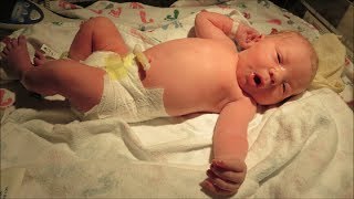 Gannon's First Day of Life (4-22-14) Day 15