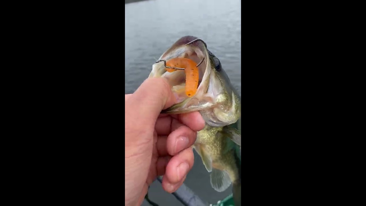 Fishing Tips For Beginners Top 3 Ways To Catch More Bass