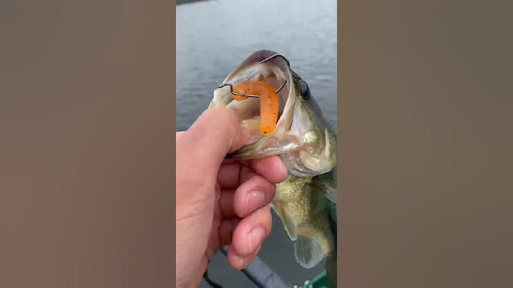 Fishing Tips for Beginners - Top 3 Ways to Catch More Bass