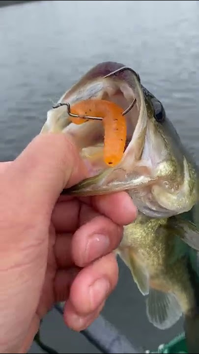 Fishing A Duck Lure For MONSTER Pike! 