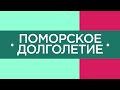 20 11 2020 Поморское долголетие 3