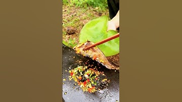 Dùng trái nhãn làm mồi…  lên cá thác lác nướng ăn luôn 😂 | Fishing with Longan Bait & Surprise BBQ!