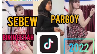 Tik-Tok 2022Goyang Slebew Bikin Gerah シ