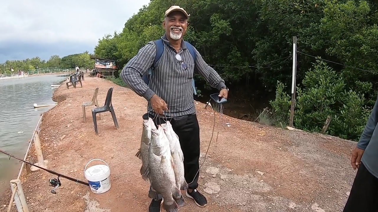 Mancing Kolam Legend Misi Memburu Siakap Gorgon s252