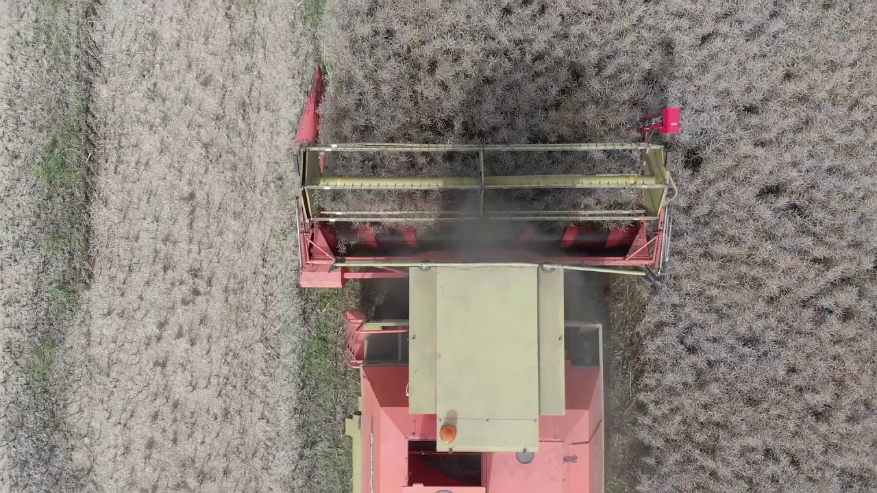 Sezona 2020 Kalnsprukas (Season 2020 harvest)