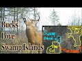 Hunting swamp islands strategy