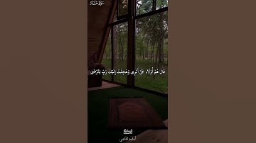 سورة طه | Surah Taha | وَعَجِلْتُ إِلَيْكَ رَبِّ لِتَرْضَى | للقارئ أسامة القاضي🤎