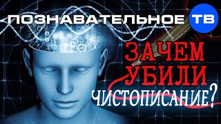 видео Чистописание. 1 класс. Рабочая тетрадь