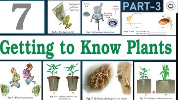 NCERT SCIENCE CHAPTER-7 PART-3||TACKLEKNOWLEDGECHANNEL|TELUGU EXPLANATION|FREEONLINE CLASSESEVERYDAY