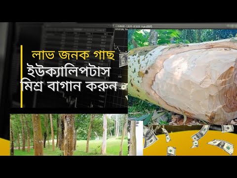 ভিডিও: দ্রুত বর্ধনশীল কনিফার কি?