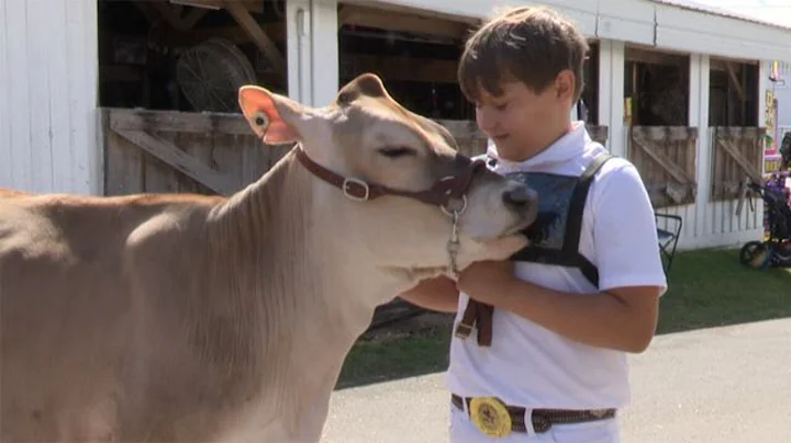 History Lesson: The origins of 4-H, a staple in county fairs