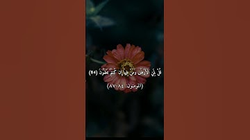 "تلاوة خاشعة | الشيخ ياسر الدوسري | سورة المؤمنون #قرآن #ياسر_الدوسري #تلاوة #المؤمنون"