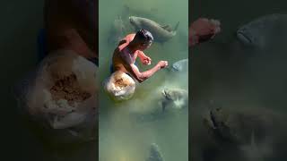 fish man #whatsup #song #new #trending #love #tamil #birthday #dj #avadi #musicvideo #fish #fishing