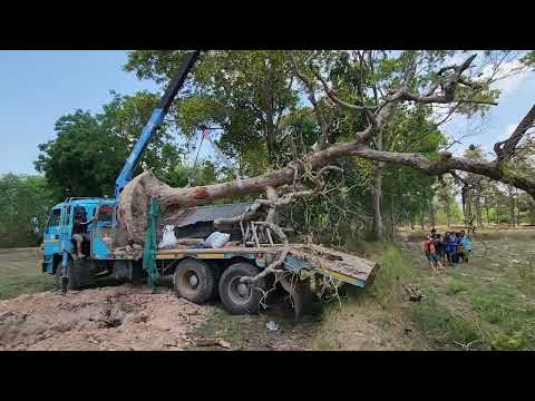 สงสัยต้องจัดเครนใหม่​ 5​ ตันให้เหลาน้อยแล้วมั้ง