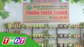 Hành trình Khởi nghiệp của Mãng cầu Xiêm Thuận Thiên Thành | THDT